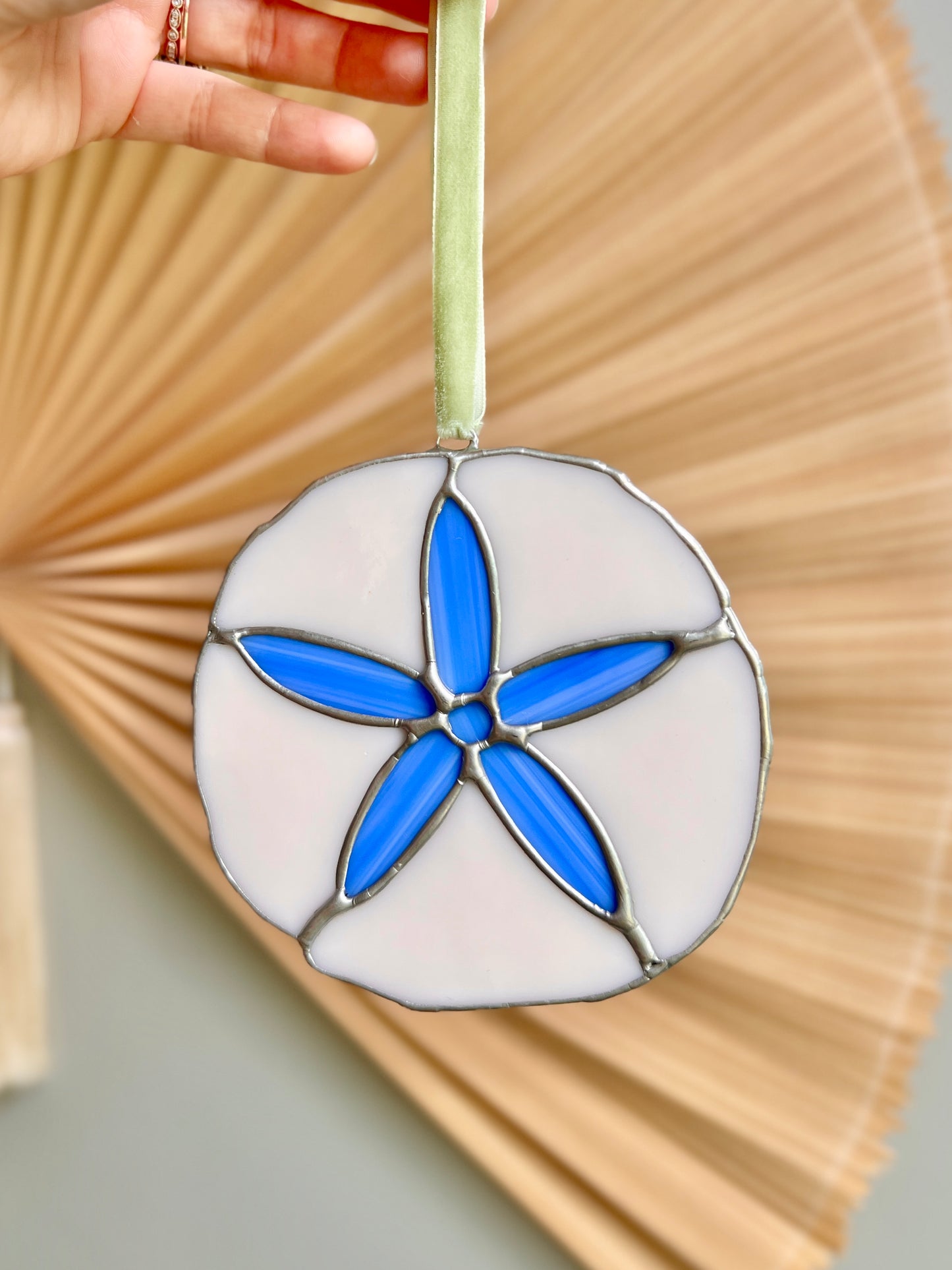Sand Dollar
