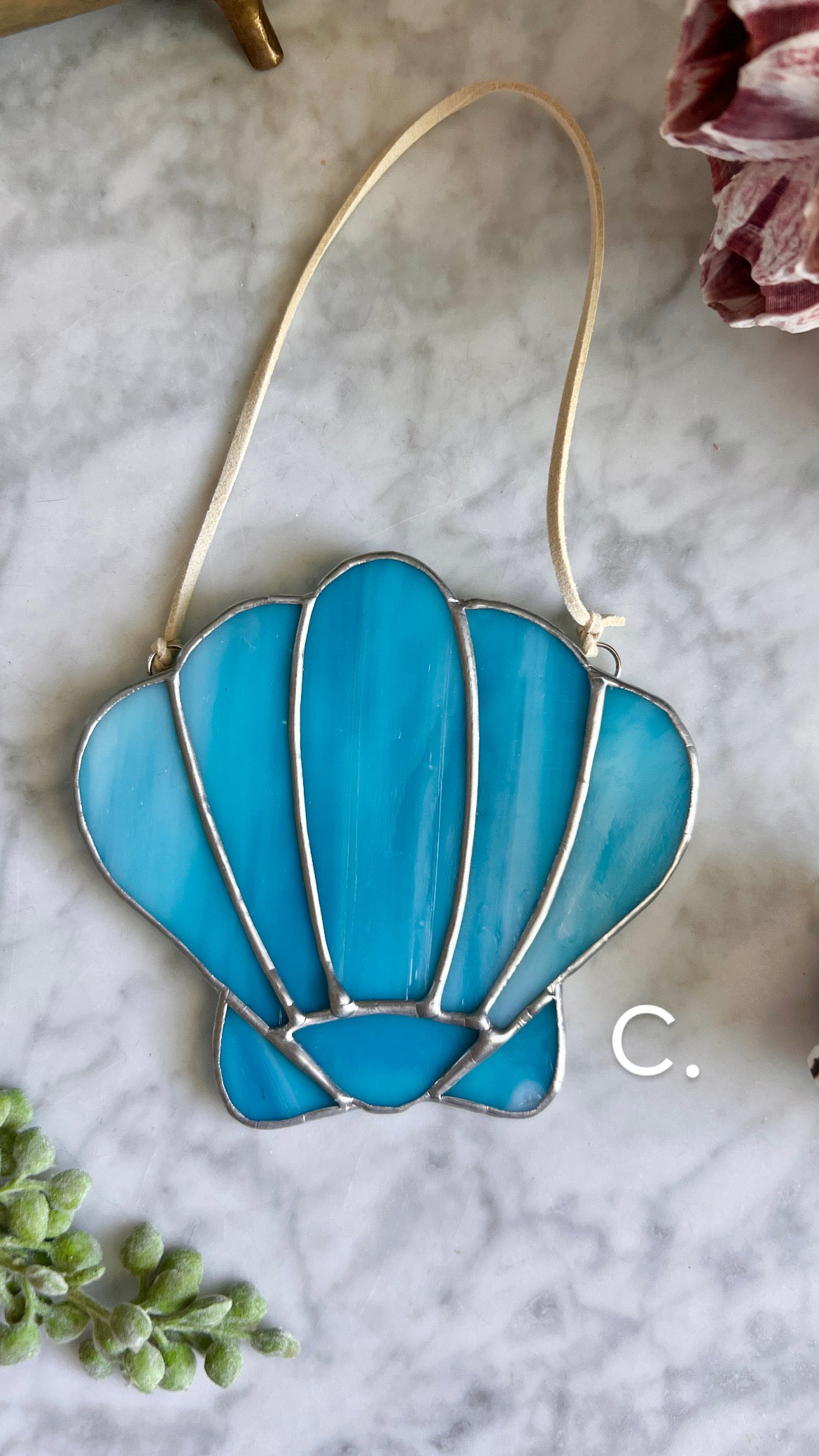 Seashells (3 color options)