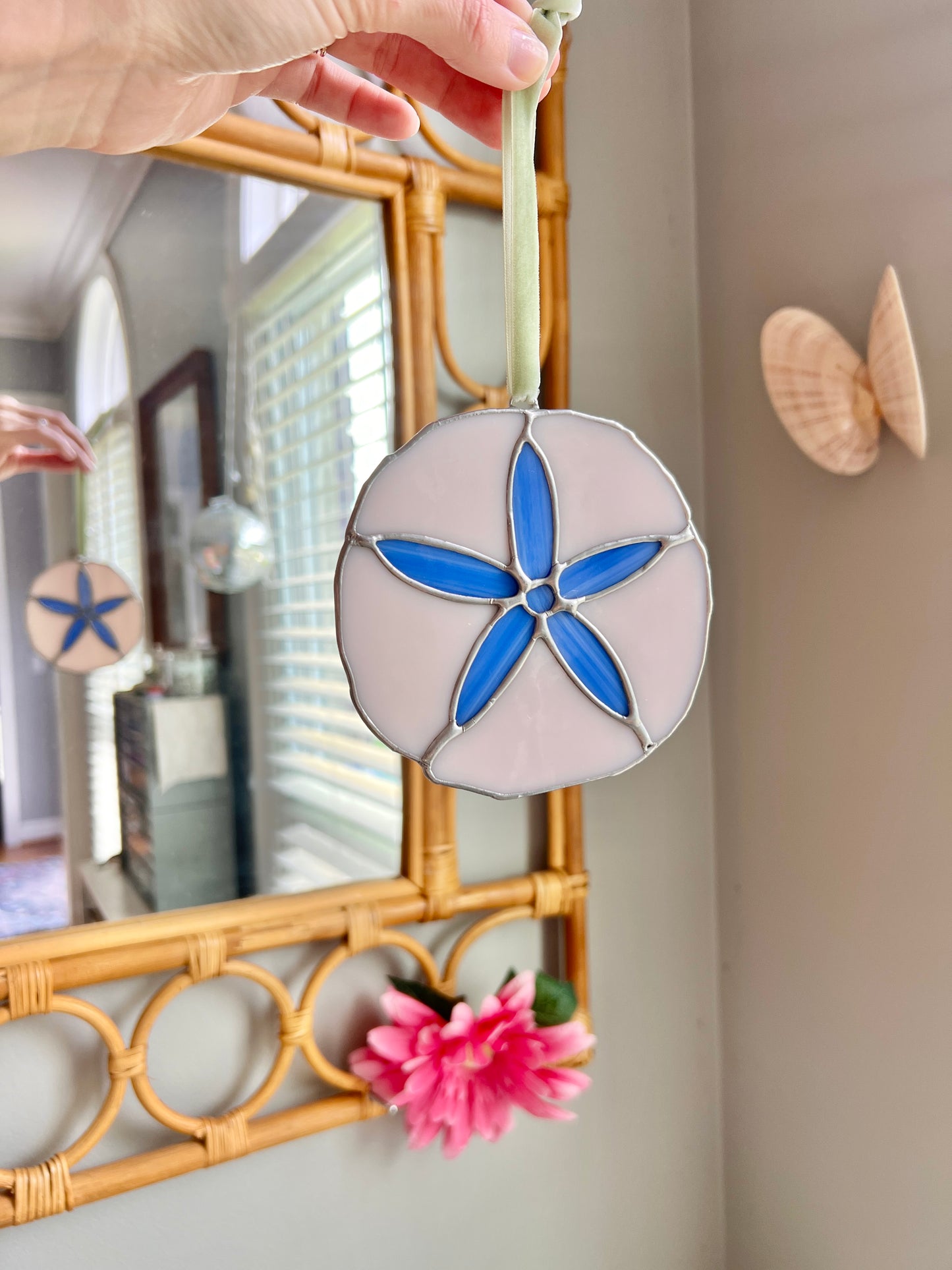 Sand Dollar