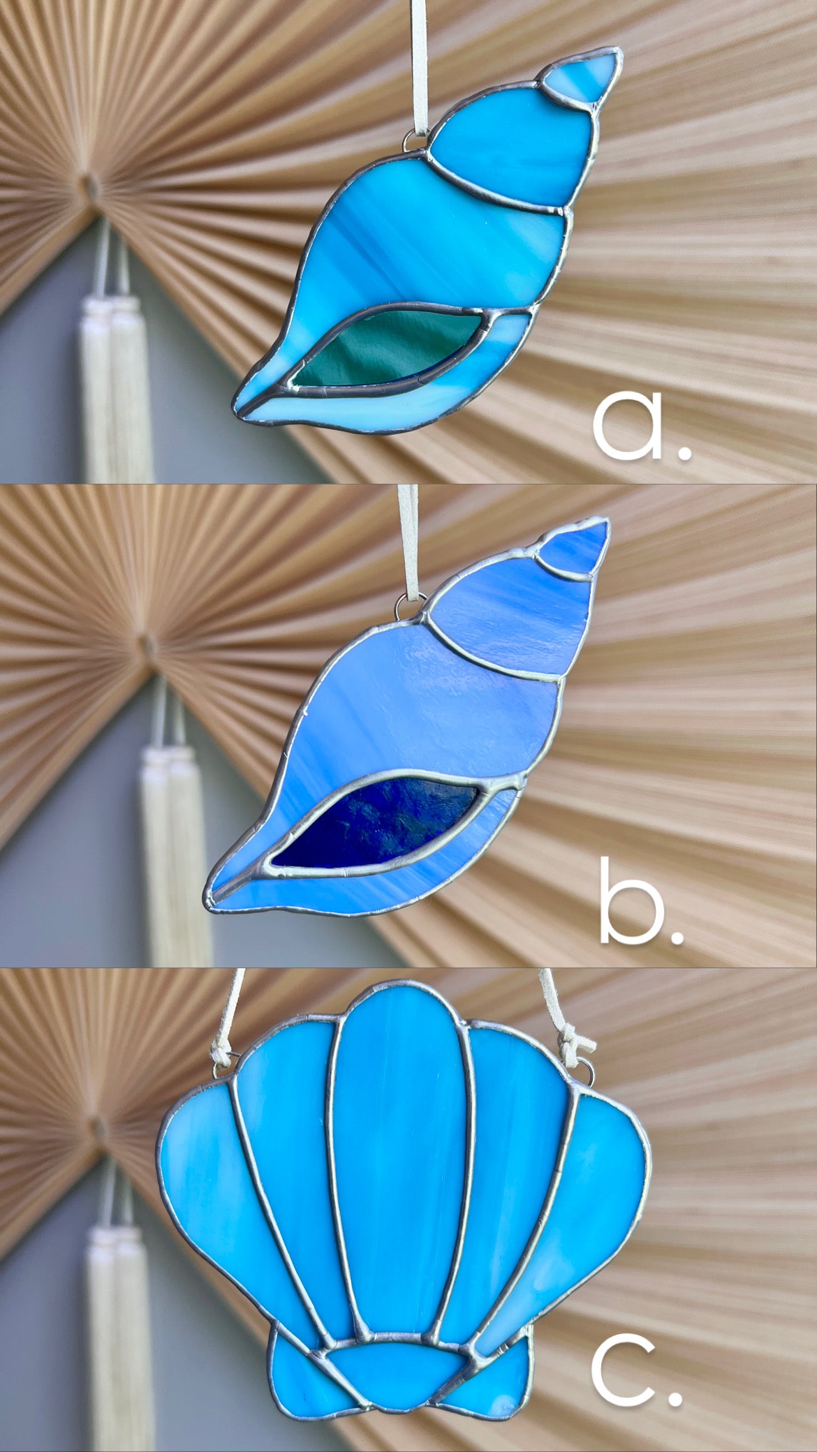 Seashells (3 color options)