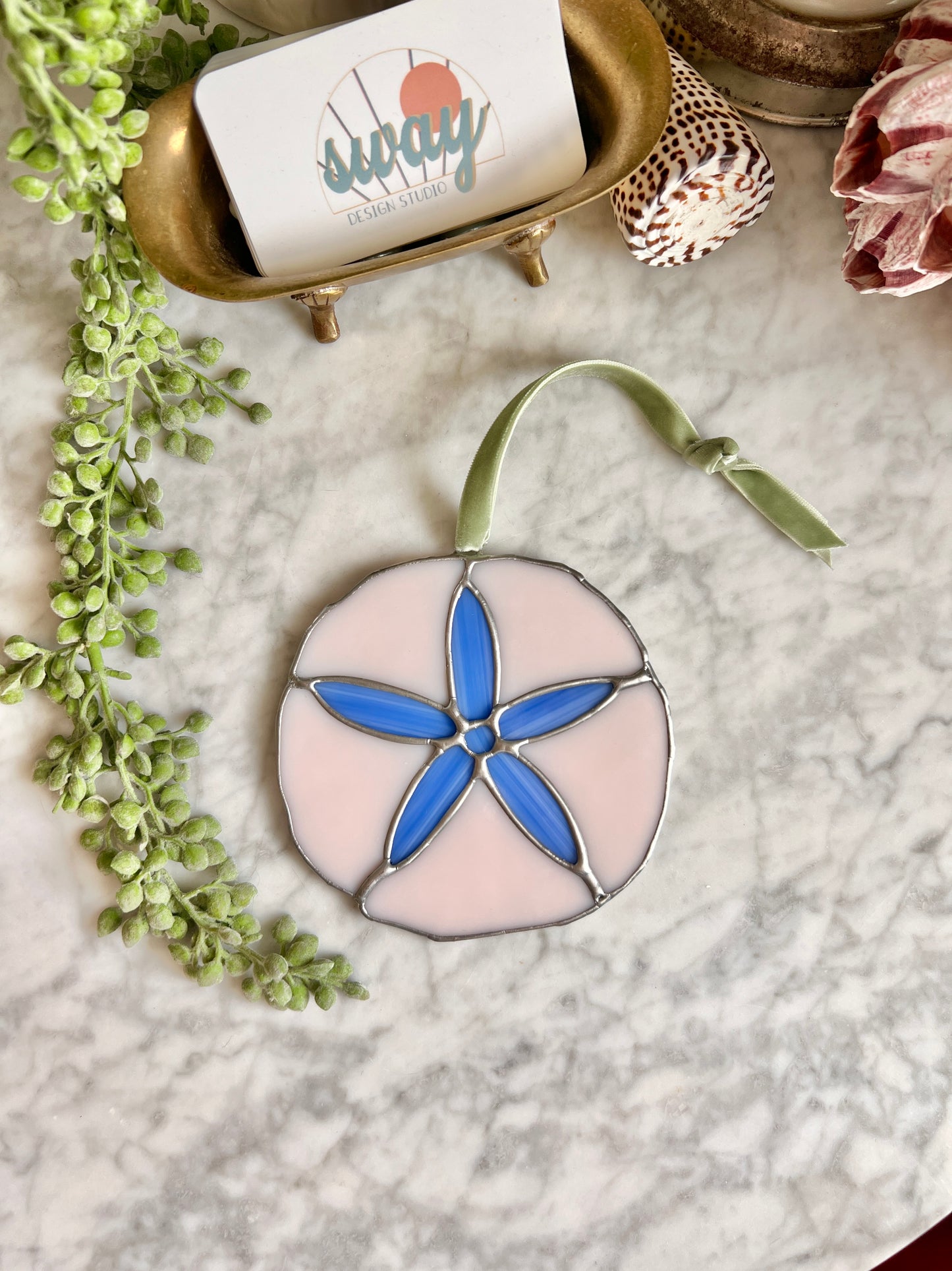 Sand Dollar