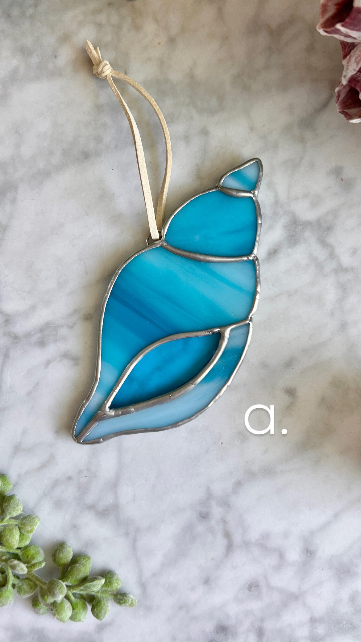 Seashells (3 color options)