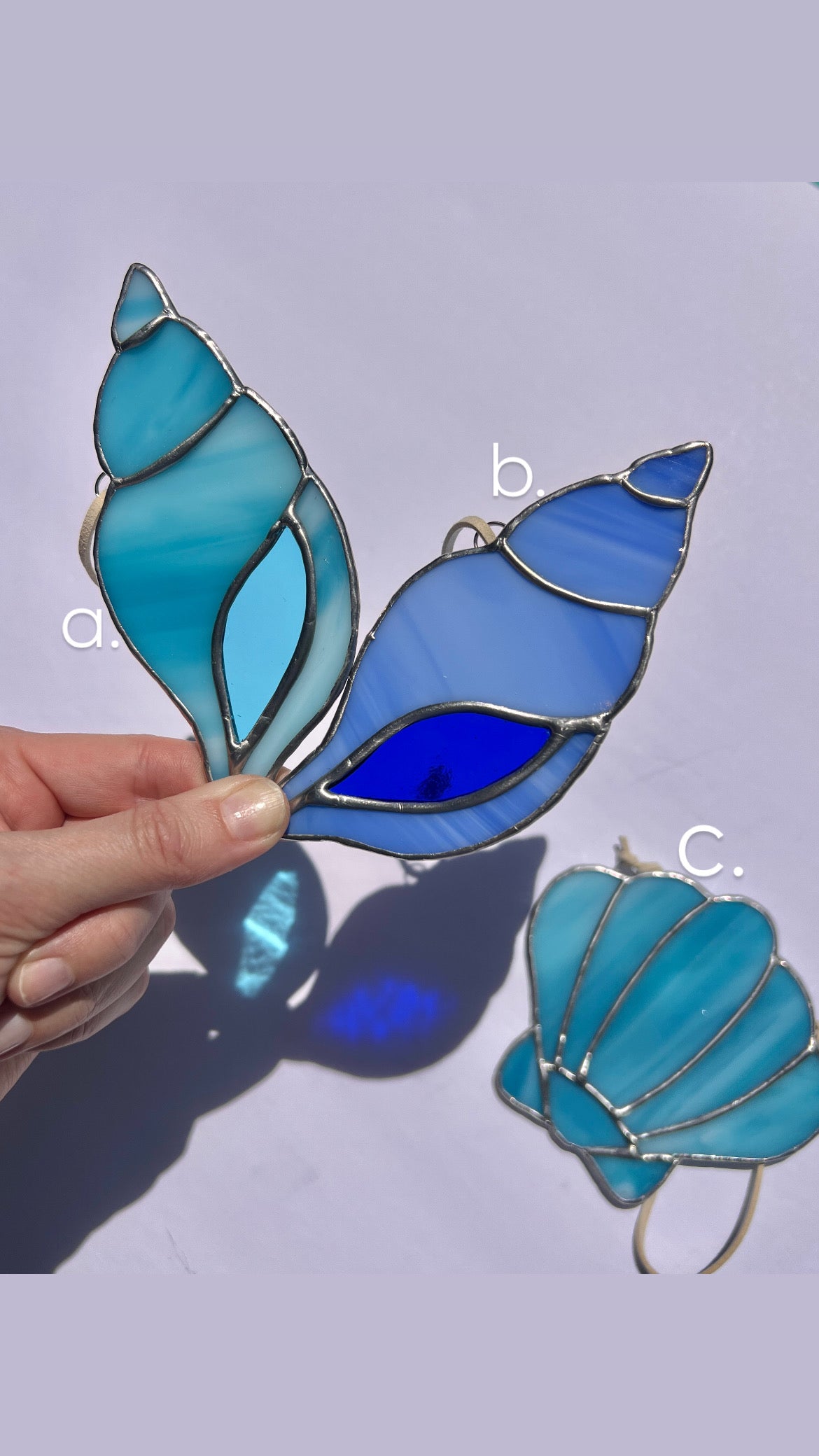 Seashells (3 color options)